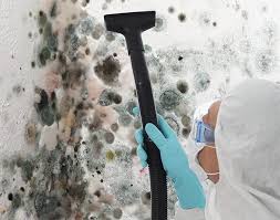  Clinton, WA Mold Removal Services Pros